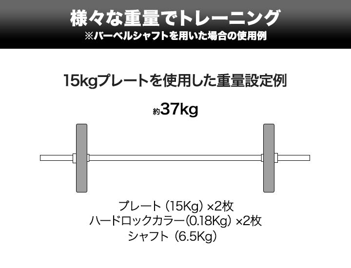 １５kgバーベルプレート２枚 楽天市場】【業務用】オリンピックプレート 15kg 2枚組 径50mm