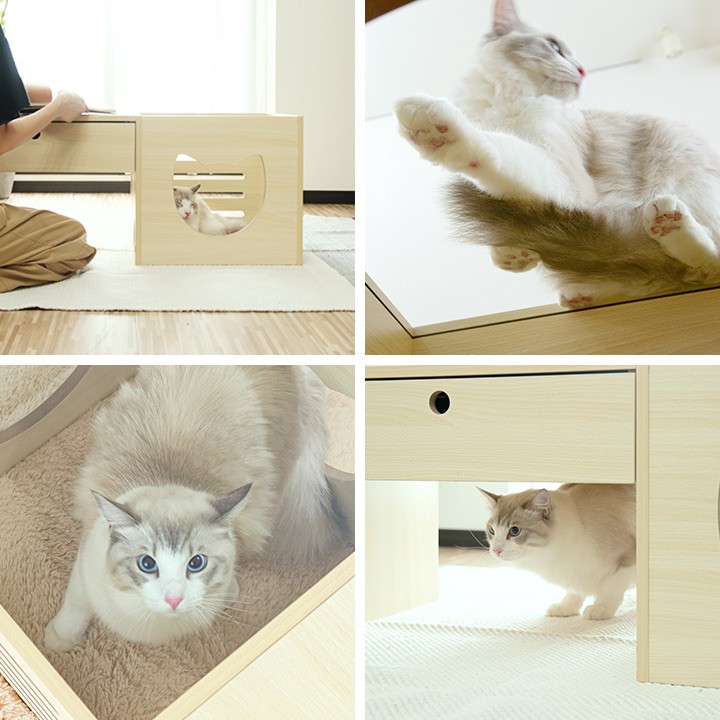 1年保証 テーブル ローテーブル 猫 キャットハウス ペットハウス カフェテーブル 木製 引き出し 100cm ペットベッド ガラス 肉球 猫ベッド  送料無料