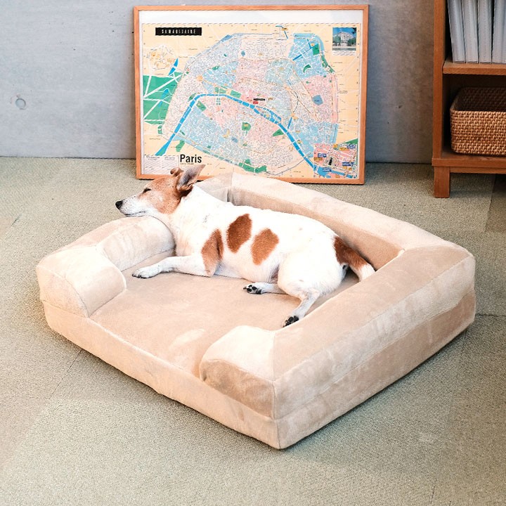 ペットベッド 洗える 幅75cm 背もたれ 犬 猫 ソファー Mサイズ 角型