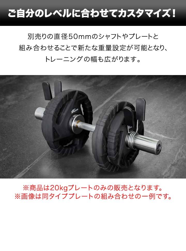 ふるさと納税 1年保証 バーベル 用 プレート 穴あき 10kg 2個セット