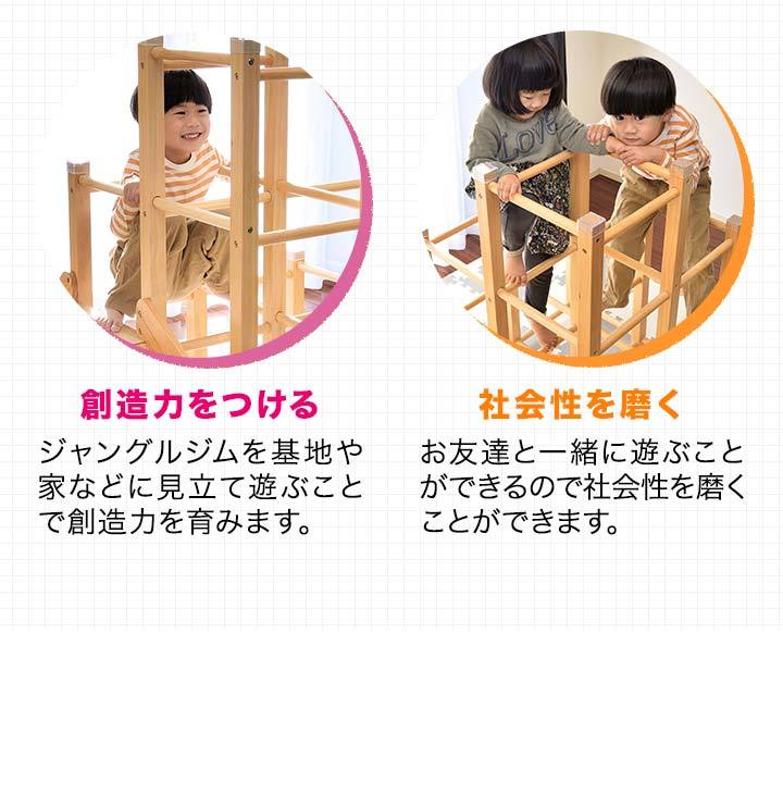 RiZKiZ ジャングルジム すべり台 滑り台 大型タイプ おもちゃ 遊具