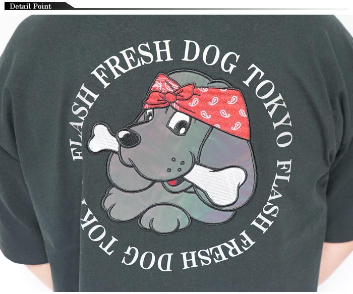 乃蒼ヒカリ ガルフィー コラボTシャツ 中型犬サイズ ファッション好きが選ぶ人気ブランドランキング 乃蒼ヒカリ