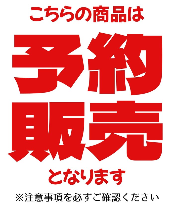 2026年 福袋 VANSON バンソン 8点 セット v2026 送料無料の画像
