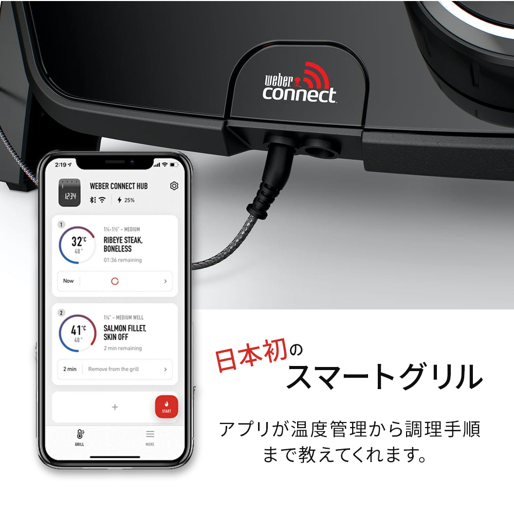 WEBER（ウェーバー） Weber 81012013 Pulse 1000 電気グリル 日本正規