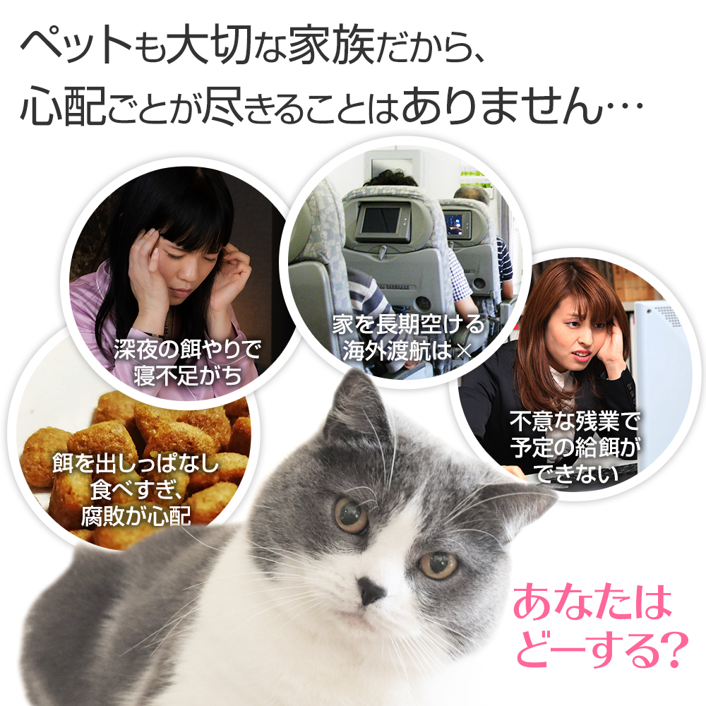 売れ筋 自動給餌器 BLIXIA 多頭飼い 猫 犬 タイマー式 ペット