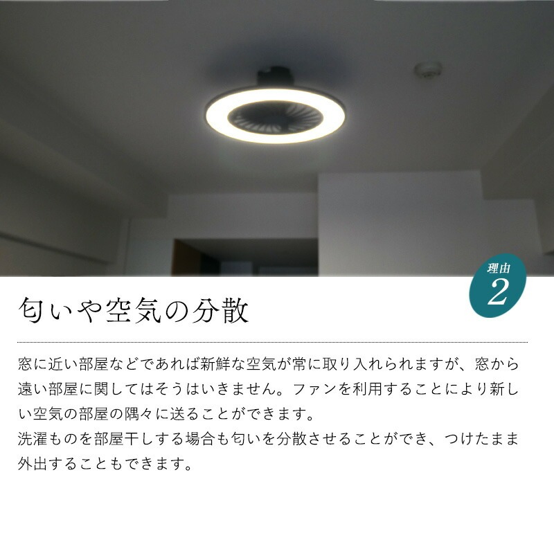 シーリングファンライト シーリングファン led シーリングライト