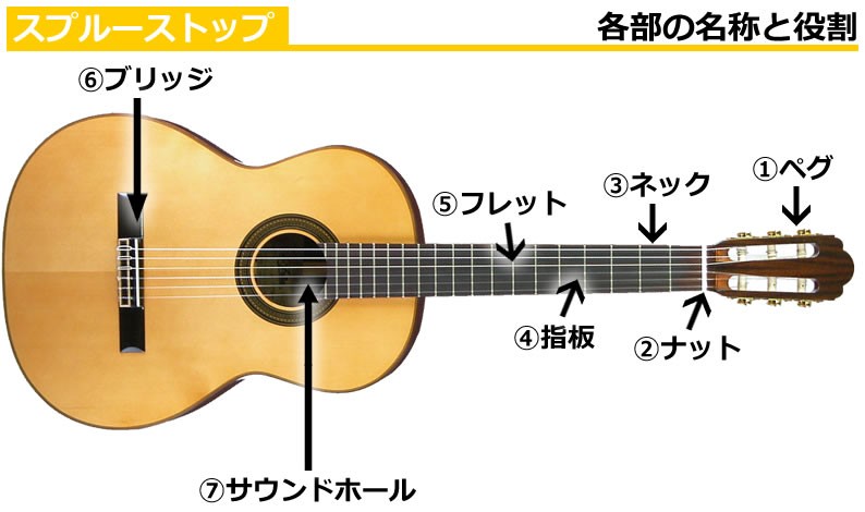 クラシックギターの選び方 伊藤楽器