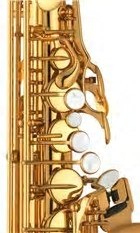 YAMAHA（ヤマハ） YAS-875EX 初心者セット アルトサックス : 伊藤楽器