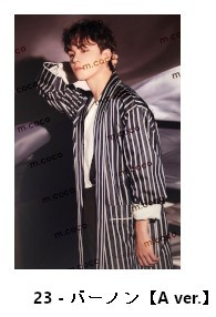 個別販売】SEVENTEEN 公式グッズ ［An Ode Concept zone］ BEHIND