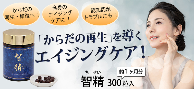 智精　エイジングケアサプリ 智精（ちせい） 300粒 : エムコレクション mcollection - 通販 - Yahoo