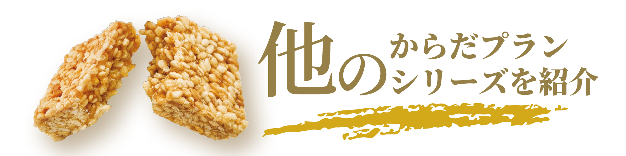 おこし お菓子 ごま菓子 焼き菓子 セサミン ローストアマニ 個包装 ひとくちセサミン 6袋セット :4083348:MDH Box - 通販 -  Yahoo!ショッピング