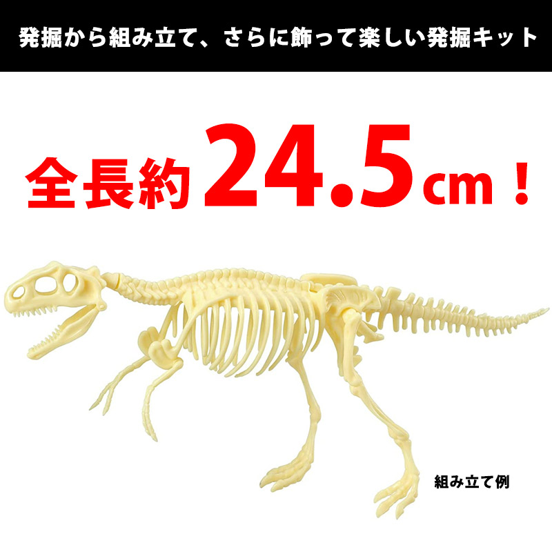 化石発掘キット ティラノサウルス 化石発掘体験 恐竜 化石 骨