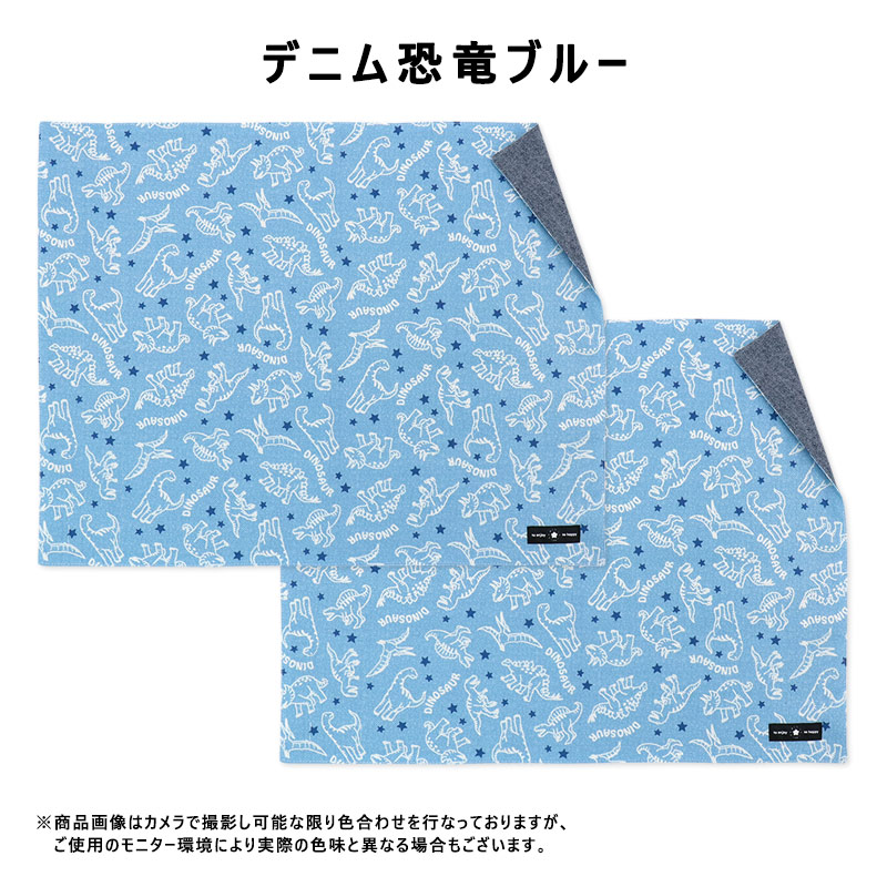 ランチョンマット 2枚セット 小学校 子供 男の子 女の子 大判 ランチ