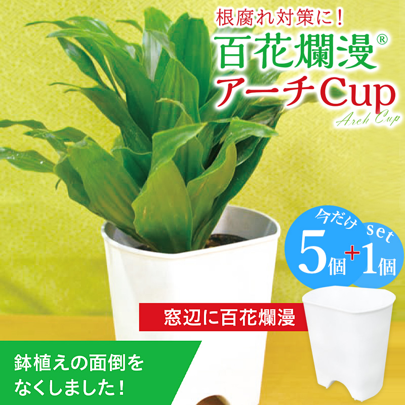 鉢 植木鉢 5個+1個セット 6個 プランター 植え替え 園芸 園芸用品 農業 根腐れ防止 花 観葉植物 ガーデニング 庭 フラワーアレンジメント  百花爛漫 アーチカップ : 55-259-900 : ミ・エストン - 通販 - Yahoo!ショッピング