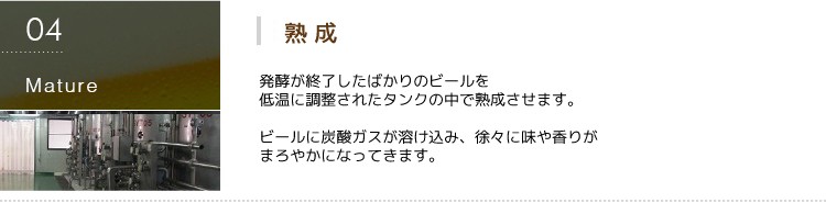 第三の新ジャンルビール 極麦(きわむぎ)kiwamugi製造過程-熟成