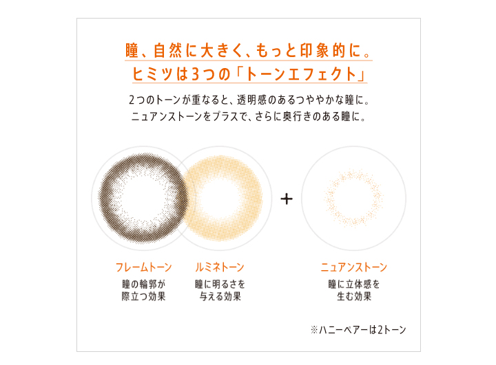 4箱 ワンデーフルッティー〈10枚入〉スウィートベリー : 4984194983614 