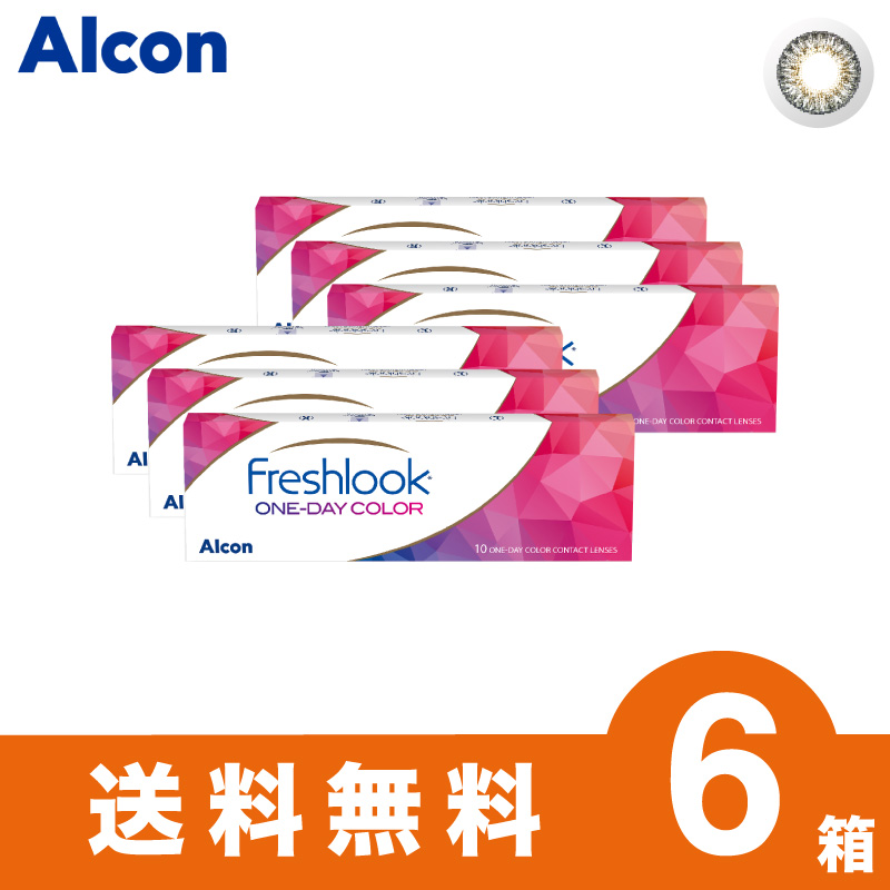 アルコン フレッシュルックワンデーカラー グレー 10枚入 2箱 1日