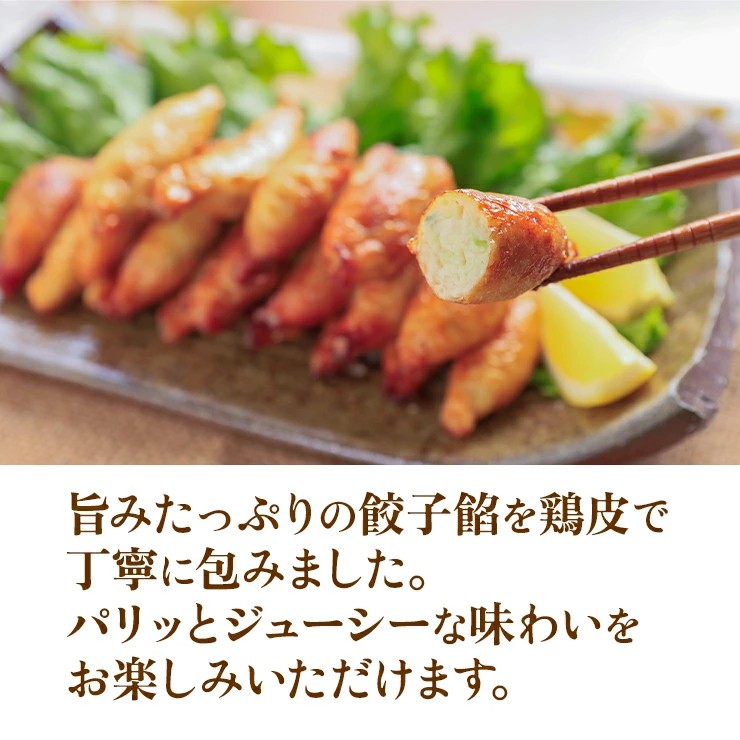 鶏皮ギョーザ 500g×2 鶏皮餃子 冷凍 送料無料 業務用 中華 惣菜 総菜