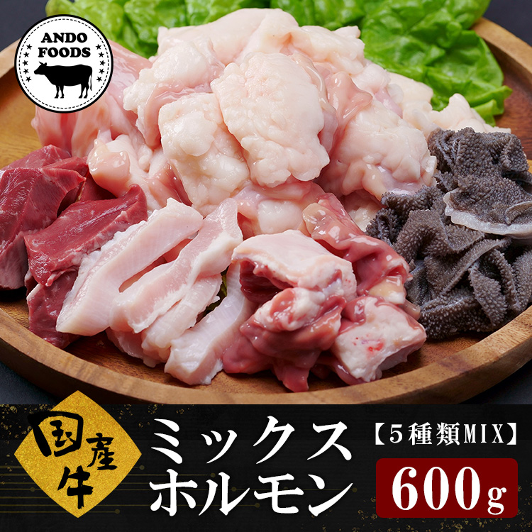 国産牛ミックスホルモン（600g）