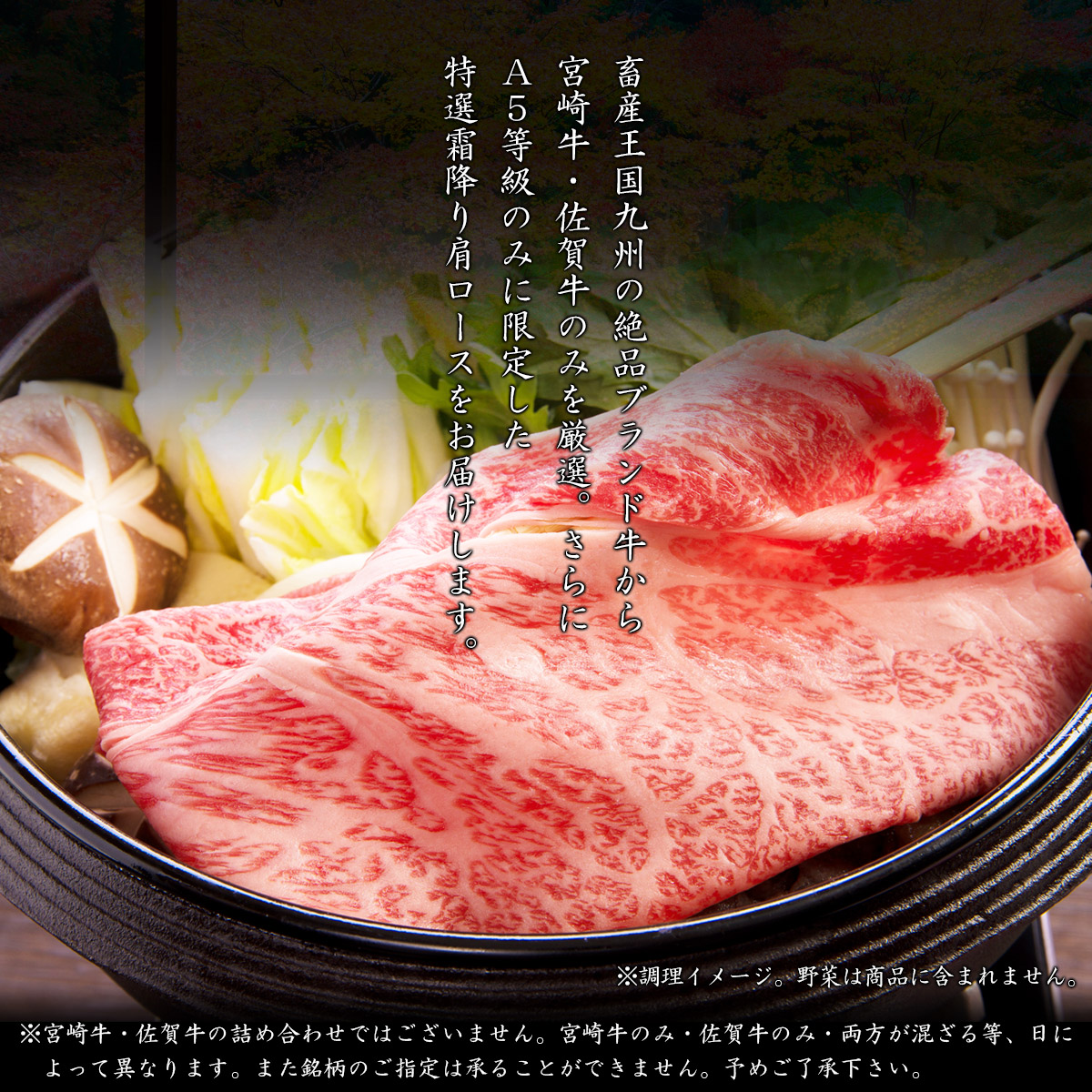宮崎牛 御中元 お中元 ギフト プレゼント 肉 牛肉 和牛 A5等級 佐賀牛 