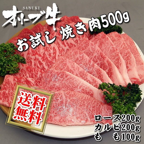 送料無料 和牛 オリーブ牛 おためし お試し 肉、バーベキューセット 500g 国産 牛 牛肉 焼肉 焼き肉 BBQ  :otoku-yakiniku500g:ミートピアサヌキ Yahoo!店 - 通販 - Yahoo!ショッピング