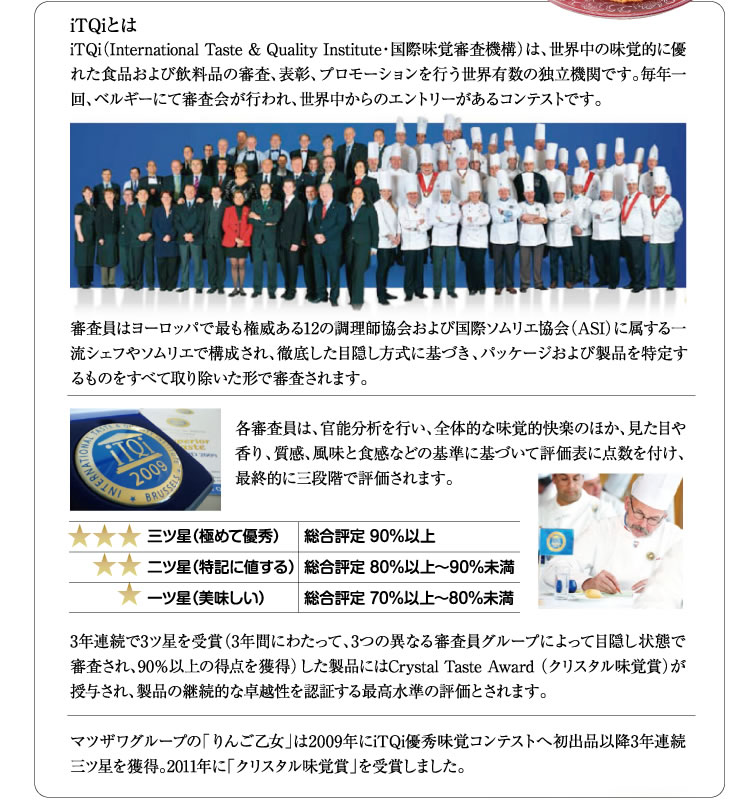 りんご乙女 8枚入 りんご お菓子 クッキー りんごせんべい RingoOtome