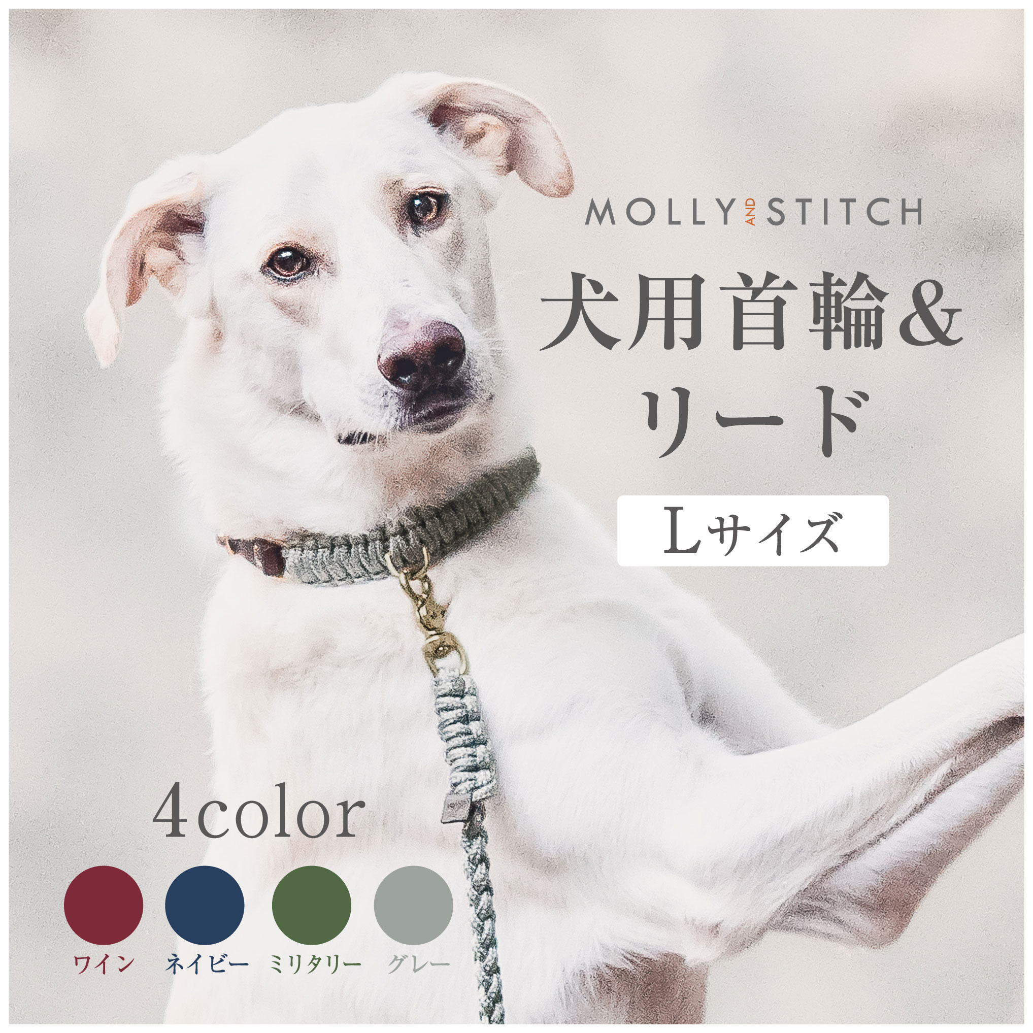 黒スケ　新品　Molly&Stitch リード＆ハーネス 犬用首輪+リード Lサイズ ダルメシアン ボクサー MOLLY&STITCH TOUCH