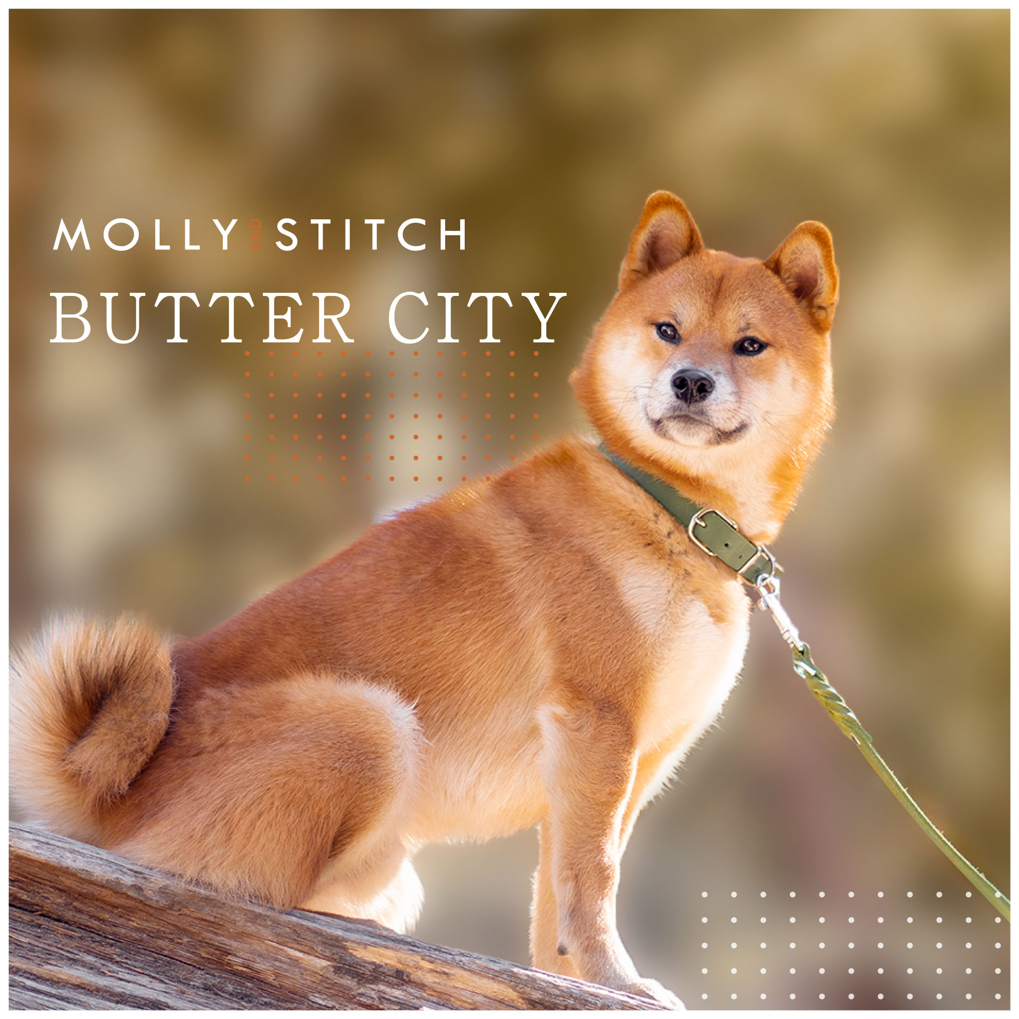 BAYCREST スカジャン Mサイズ 青柴犬　新品.未使用　タグ付き BAYCREST スカジャン Mサイズ 青柴犬 新品.未使用 タグ付き