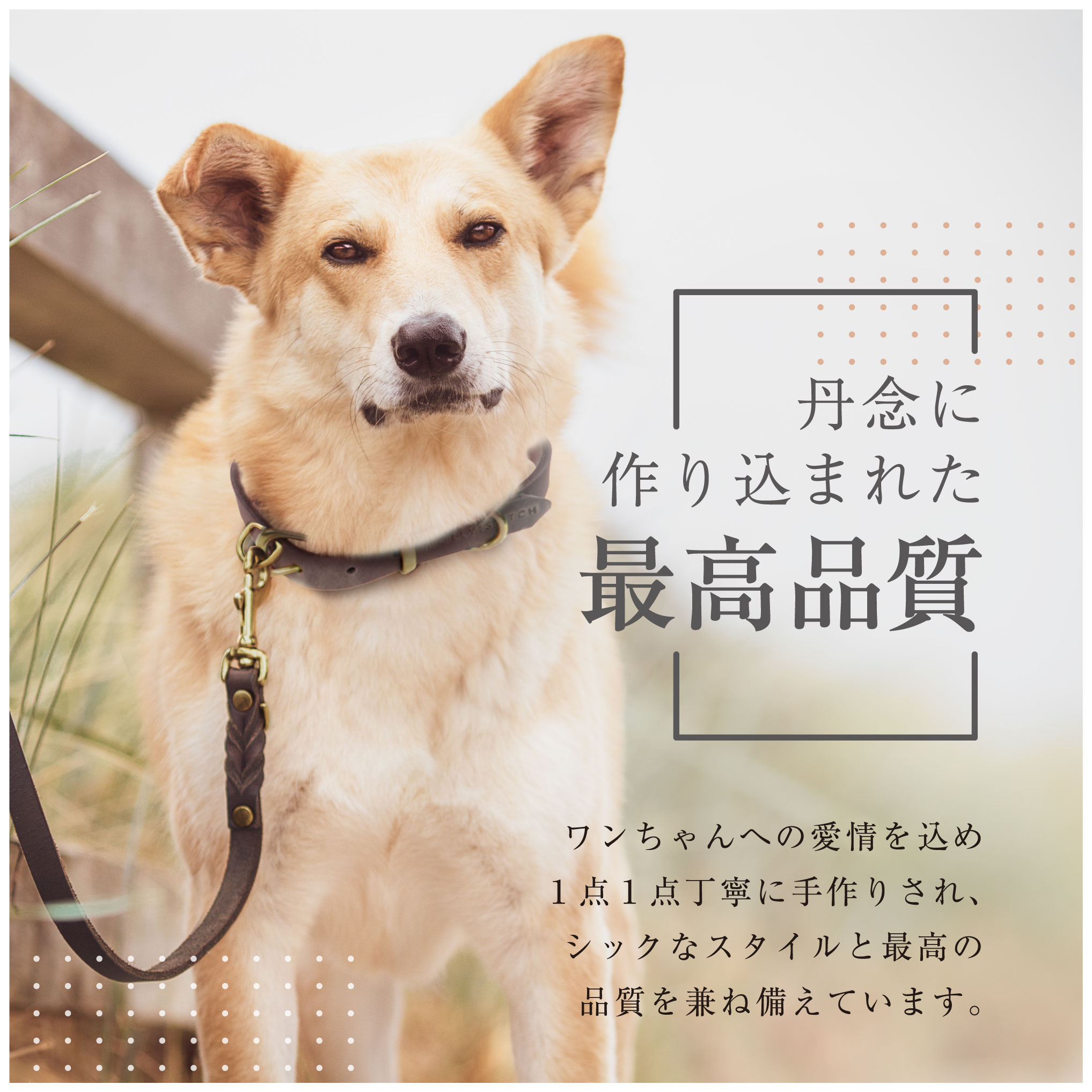 犬用首輪+リード XSサイズ トイプードル ポメラニアン MOLLY&STITCH