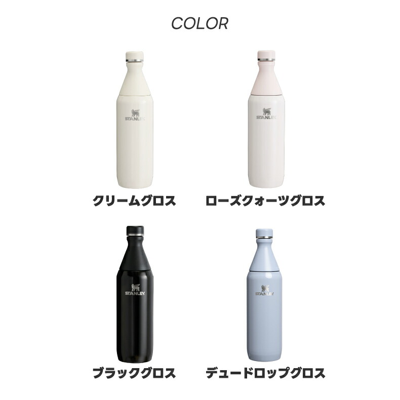 STANLEY（スタンレー） 水筒 0.6L 真空マグ ステンレスボトル 保冷 直