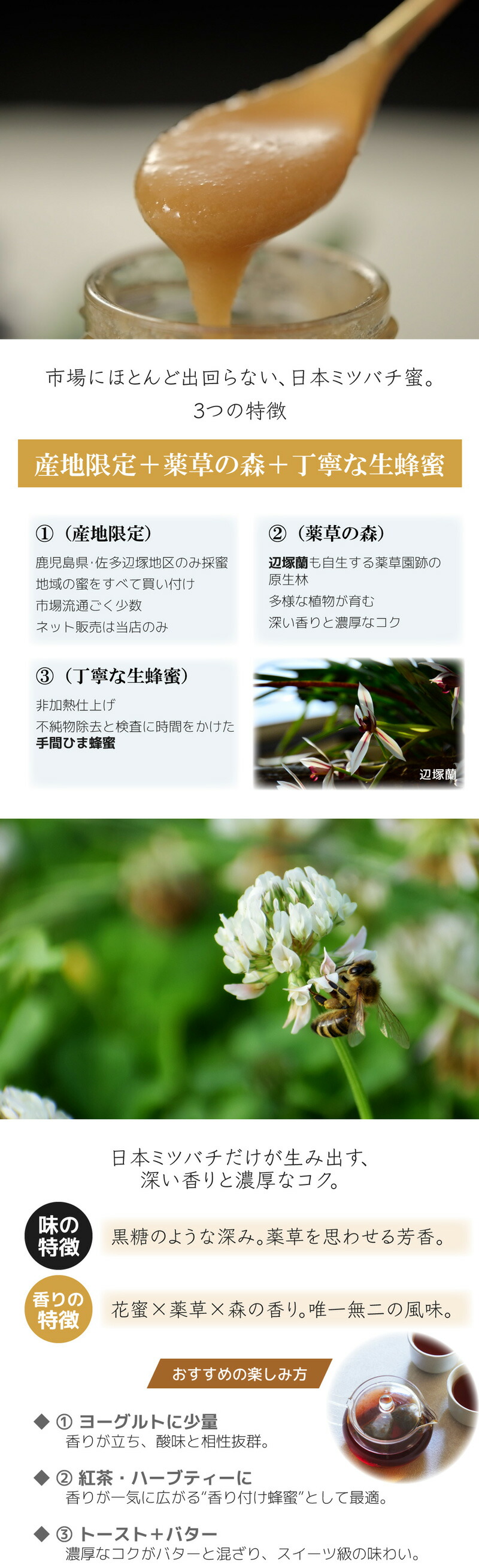 はちみつ 日本ミツバチ 蜂蜜 国産 非加熱 生はちみつ 鹿児島 120g 450g