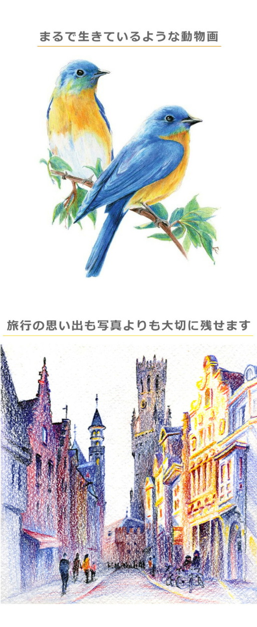 美人画・色鉛筆＆水彩絵の具 美人画・色鉛筆＆水彩絵の具