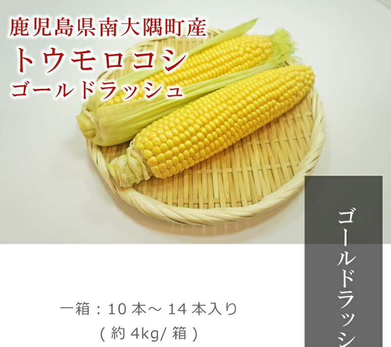 鹿児島県南大隈町産「ゴールドラッシュ」の朝採れとうもろこし 4kg 10〜14本