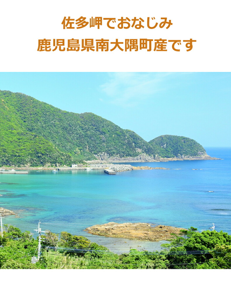 鹿児島県南大隈町産「ゴールドラッシュ」の朝採れとうもろこし 4kg 10〜14本