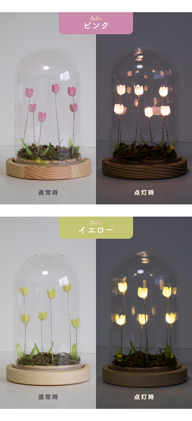 LUMO チューリップ ガラスドーム LEDライト付 卓上 インテリア 置物