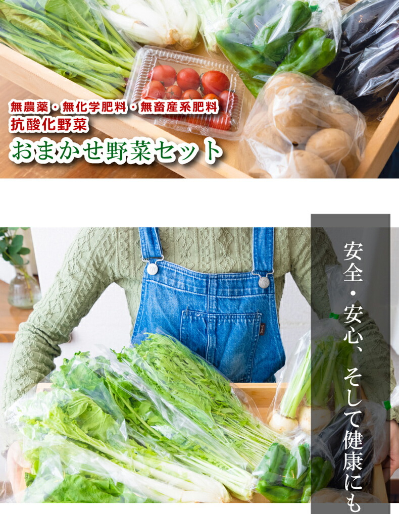 相模原の山からお届けする無農薬で育てた野菜の詰め合わせ