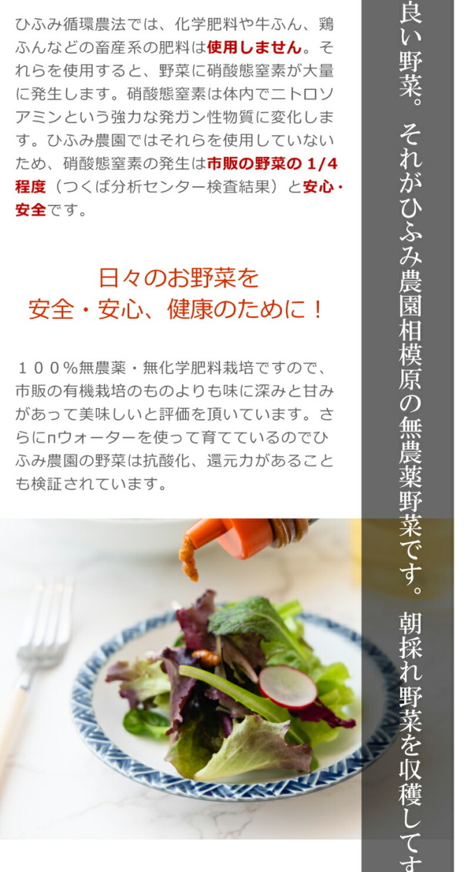 相模原の山からお届けする無農薬で育てた野菜の詰め合わせ