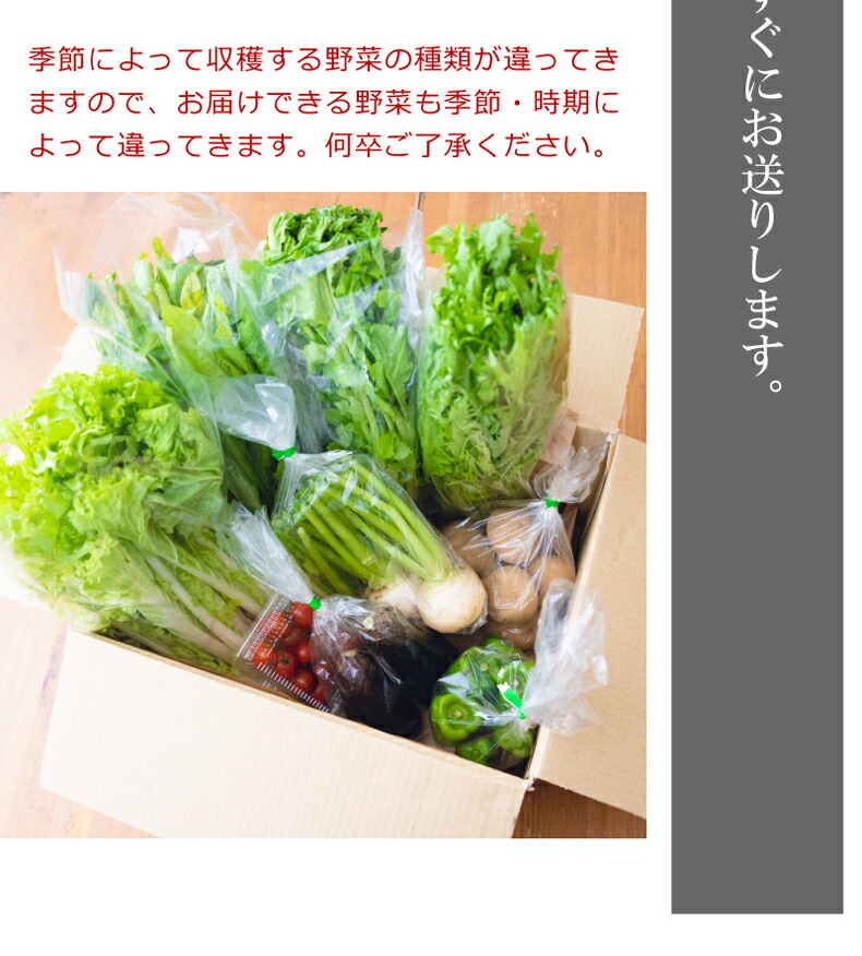相模原の山からお届けする無農薬で育てた野菜の詰め合わせ