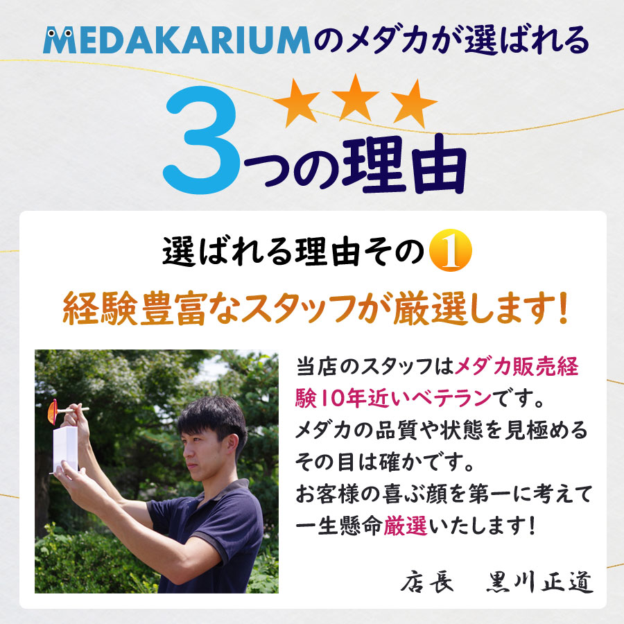 めだかの餌 リッチC 100g 浮上性 高たんぱく レビュー特典(産卵床&餌)あり 関連画像4