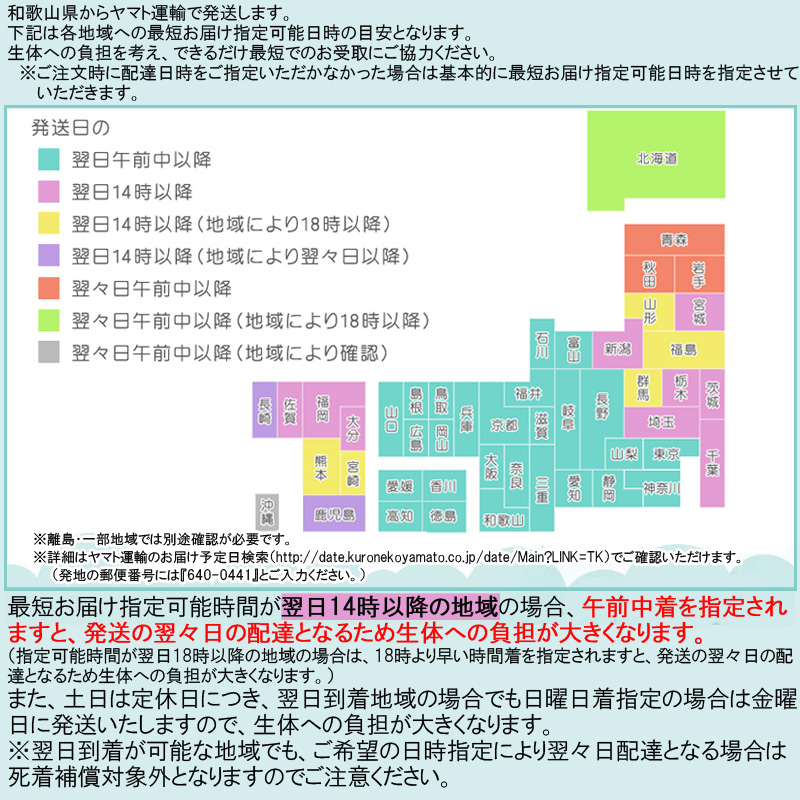 メダカ / 送料無料 ラメめだか色々お楽しみ20匹セット (※沖縄は別途送料必要) 関連画像2