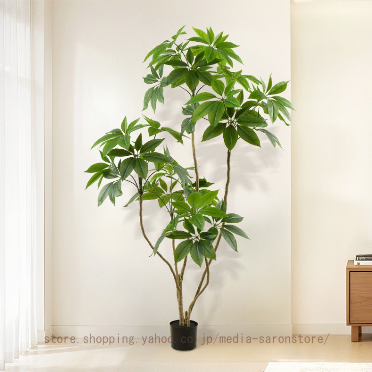 観葉植物 パキラ 140cm 観葉植物 パキラ 140cmの商品一覧 通販 - Yahoo!ショッピング