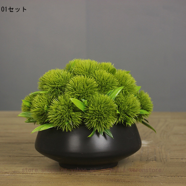 極楽鳥花のおすすめ人気商品一覧 通販 - Yahoo!ショッピング