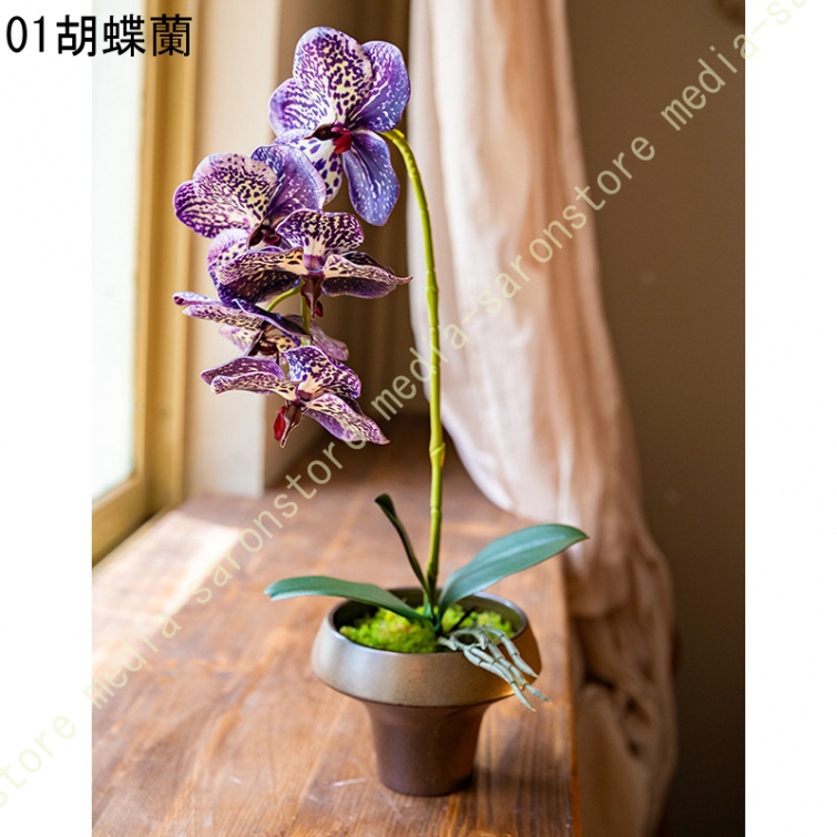 胡蝶蘭 造花 生け花 禅意 侘び寂風 フラワーアレンジメント 復古