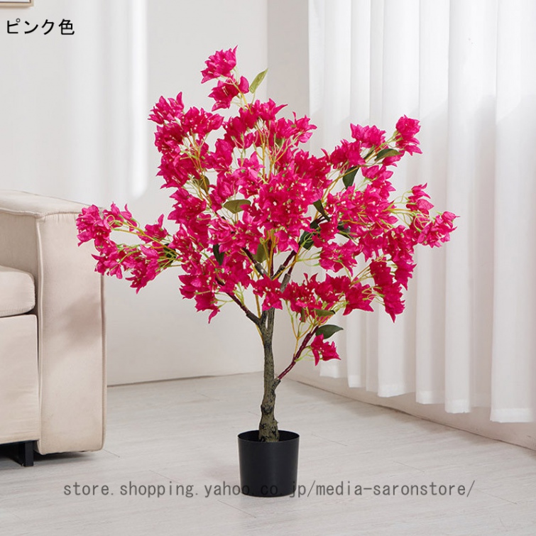 ブーゲンビリア（花、ガーデニング）の商品一覧 通販 - Yahoo!ショッピング