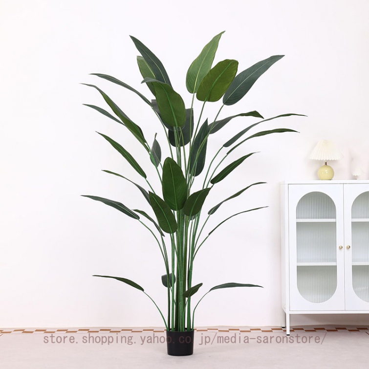 極楽鳥花のおすすめ人気商品一覧 通販 - Yahoo!ショッピング