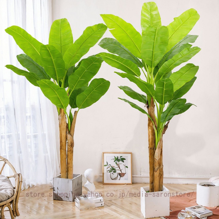 観葉植物バナナの木（人工観葉、フェイクグリーン） | 花