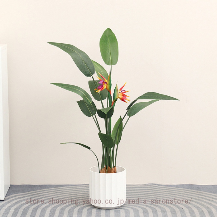 極楽鳥花通販（花、ガーデニング）のおすすめ人気商品一覧 通販