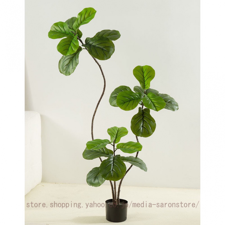 観葉植物 ハートの葉っぱ（人工観葉、フェイクグリーン） | 花