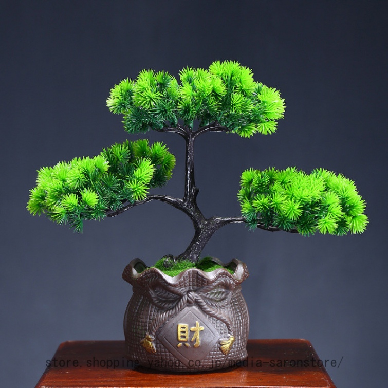 松 鉢植えのおすすめ人気商品一覧 通販 - Yahoo!ショッピング