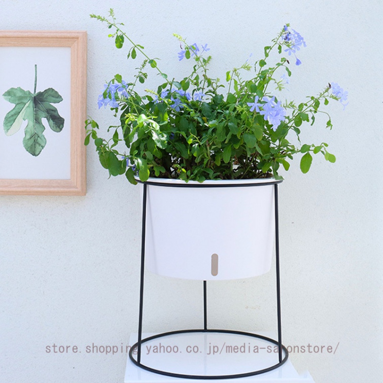 sy32(園芸用品) | 花、ガーデニング のおすすめ人気商品一覧 通販 sy32(園芸用品) | 花、ガーデニング のおすすめ人気商品一覧 通販